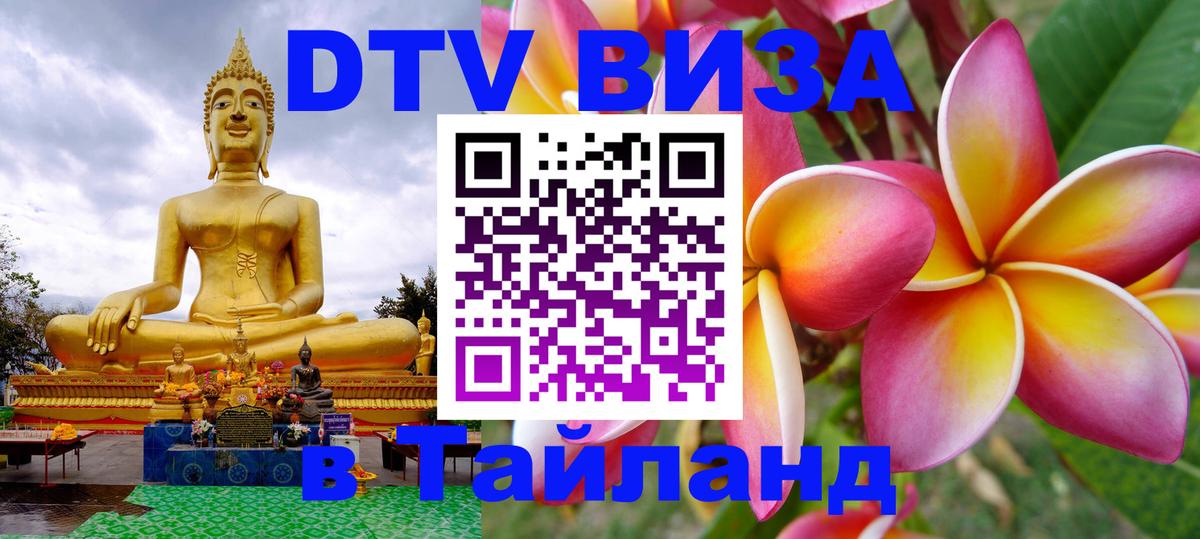 Оформление DTV визы под ключ: стоимость и тарифы, только загранпаспорт - 
